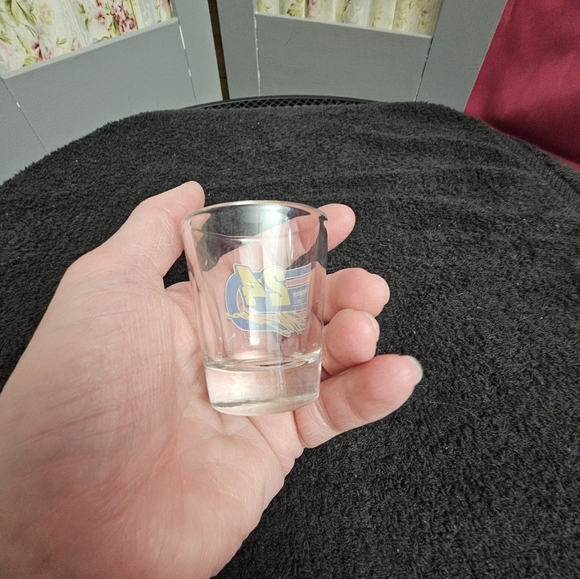 2003 Hendrick Motorsports Jeff Gordon #24 NASCAR Glass Shot Glass - Picture 5 of 9